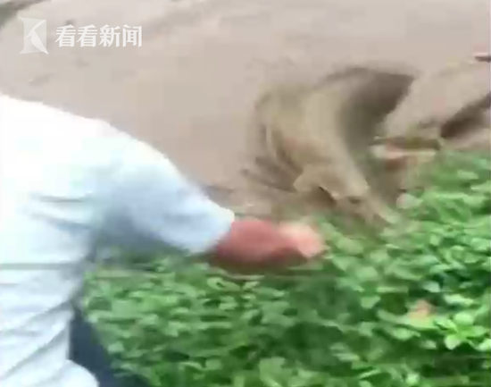 为外销鼓吹造势?俄自曝S300防空导弹制造车间_CN2服务器常见问题