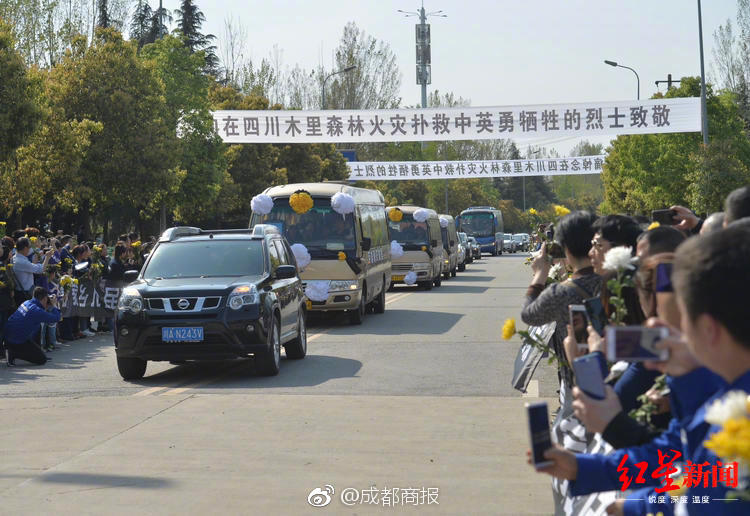 延缓大脑衰老比想的更简单
