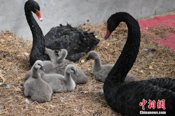妈祖诞辰日:数千妈祖信众