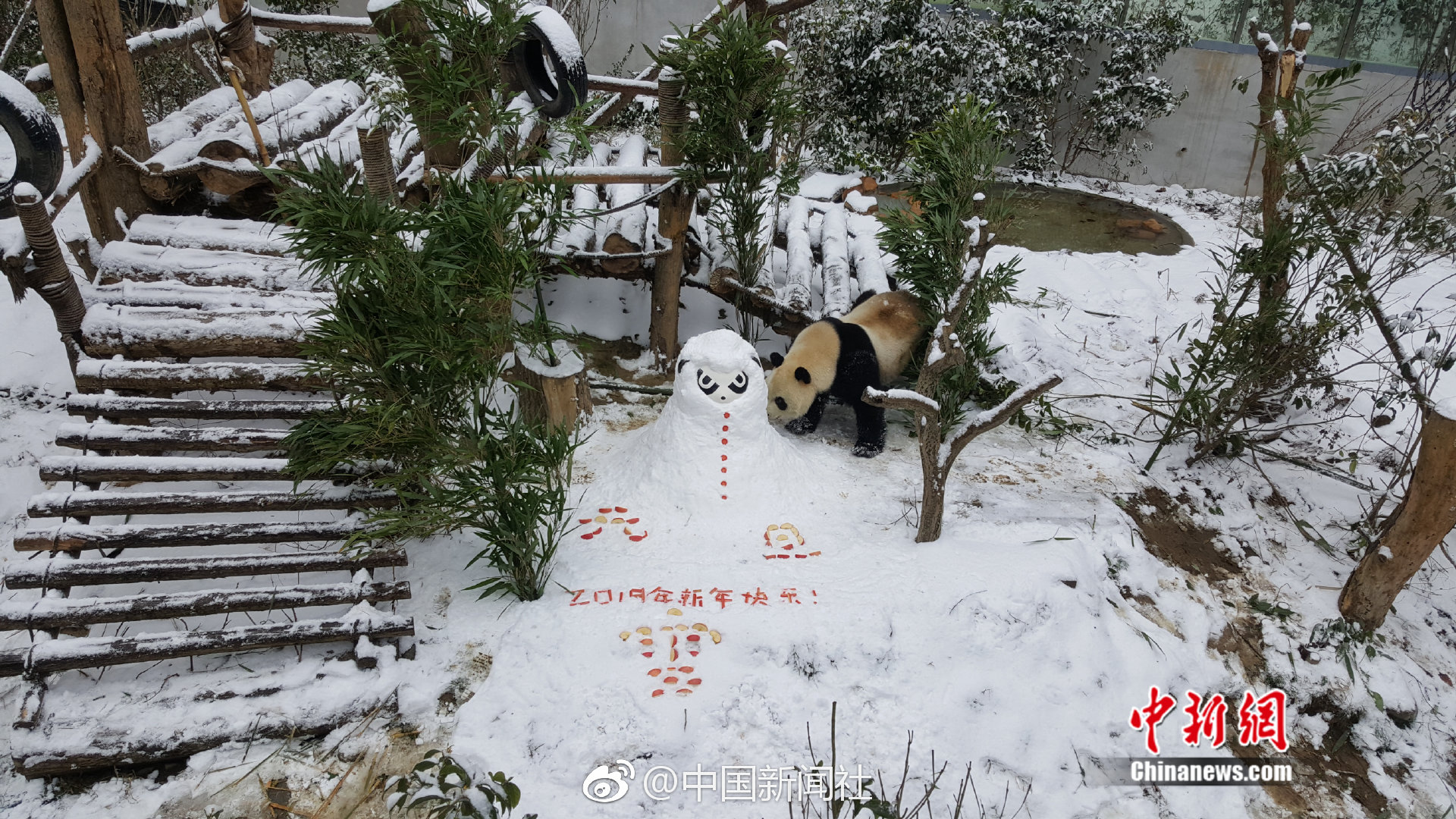 焚烧圆明园的除英军还有这些"家贼"_云电脑多店铺管理