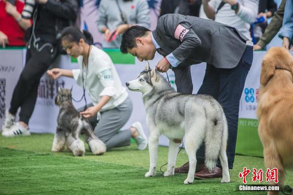 车企女高管“第一人”郑杰离职 菲亚特克莱斯勒中国区换帅