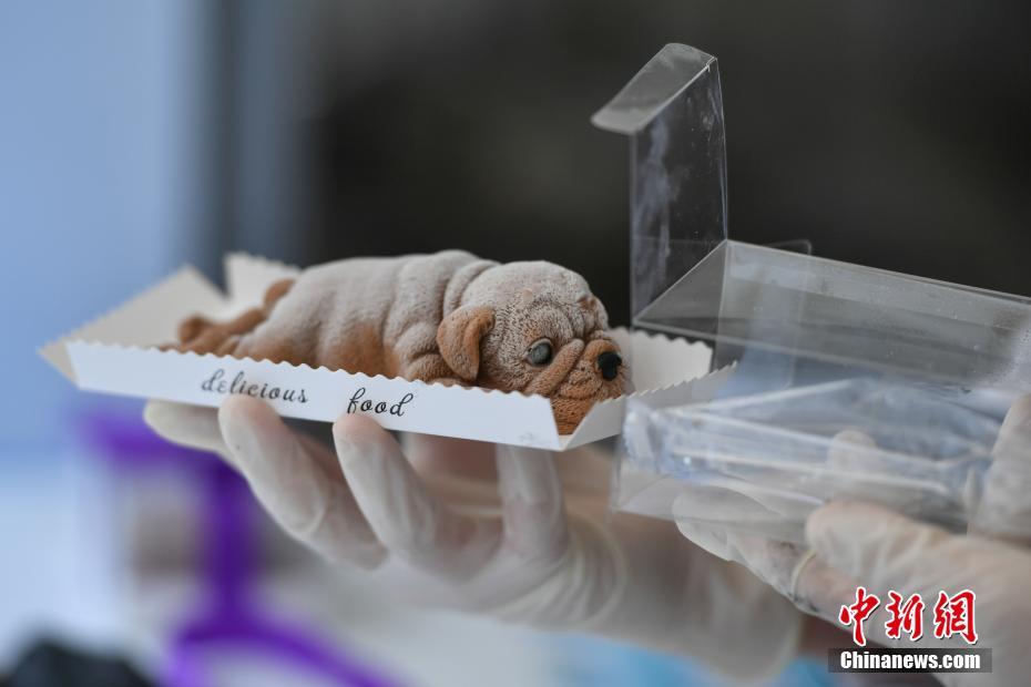 爆款活性炭暖脚器,时尚暖脚新方式_云服务器托管