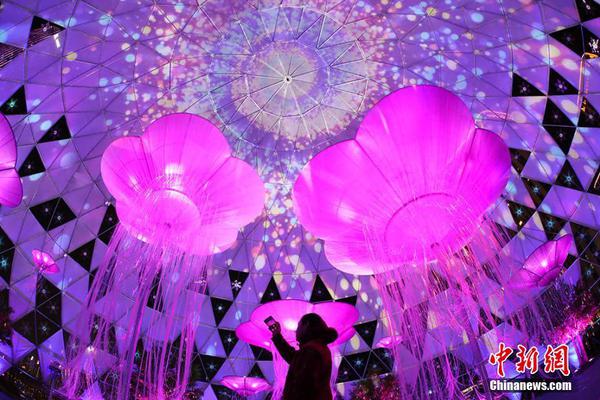 日本人十连休出国旅客数将创新高 来中国的最多_9929网络架构