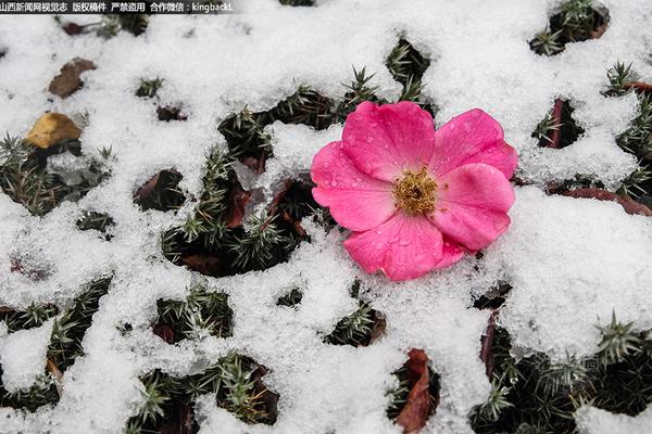 全职高手新款周边，满99减5！_LXC挂机宝
