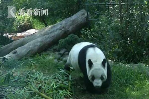 晚年欧阳修头戴鲜花游西湖，一首宋词字里行间可见醉翁本色_云服务器16G内存