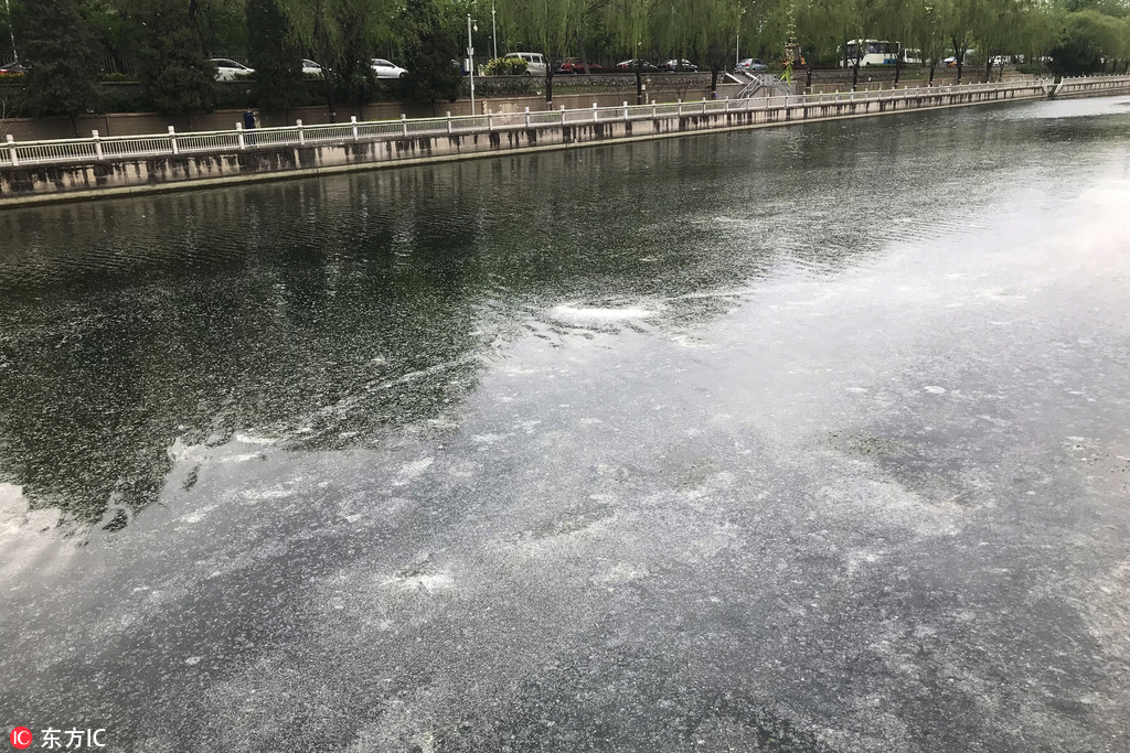 民工从8米高工地坠落被钢筋穿体，医生和消防联合救援，看着都痛_挂机宝远程桌面
