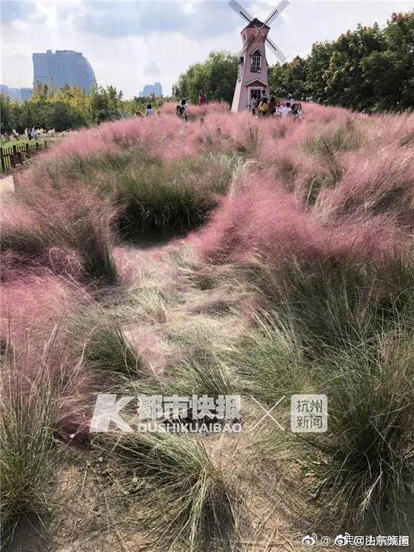 华为董事会首席秘书:任正非只有否决权 而非决定权