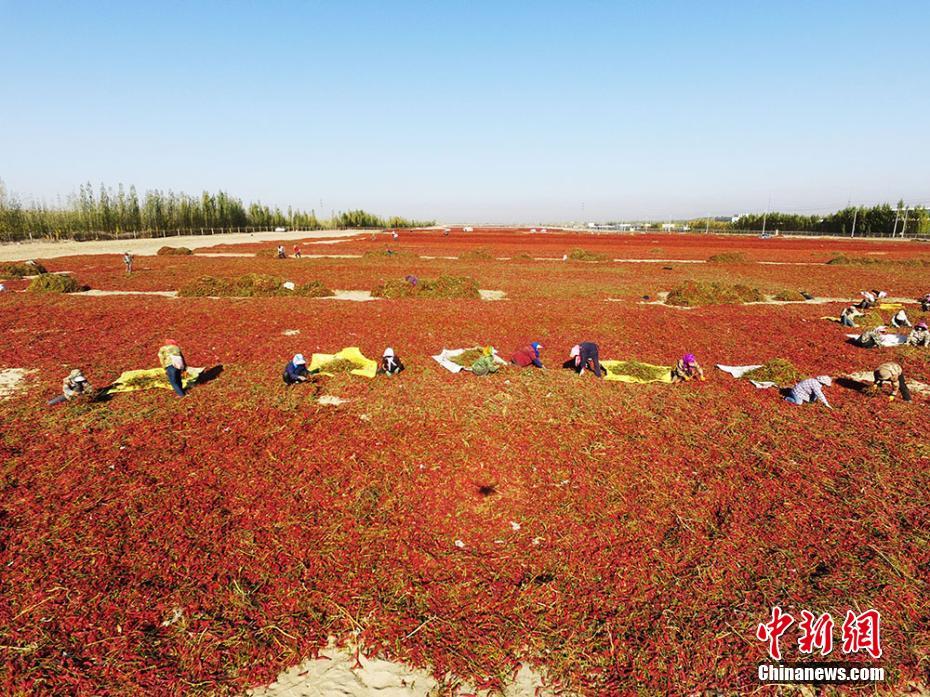后悔为巴黎圣母院捐款 法国多地决定撤销捐款承诺_金融云电脑