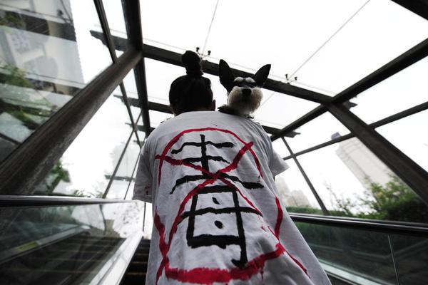 沈阳故宫掌门人李声能称最难忘那一天