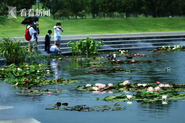 格调样板间：想要比苏大强躺得还舒服_分支机构云电脑