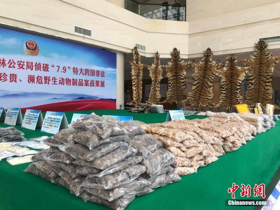 倪妮的细腻底妆Hold一切 怪不得照片这么好看!_挂机宝加速器