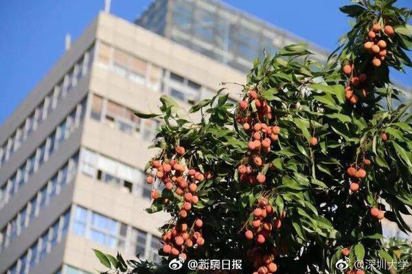 抄袭出的经典：荒野大镖客_9929性价比之王