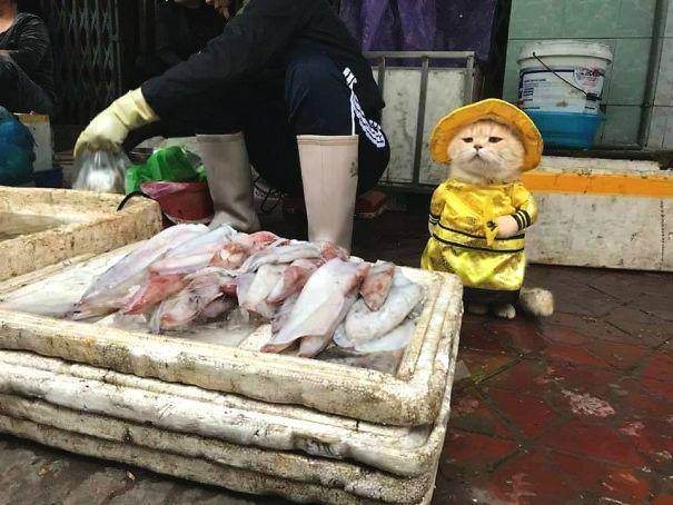把VR做有趣，任天堂花了24年_裸金属云服务器