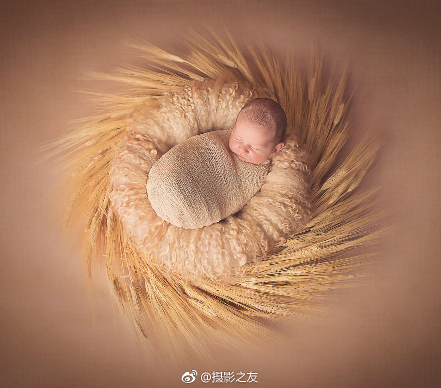《僵尸世界大战》评测：与其模仿他人，或许做电影续集_CN2服务器免费试用