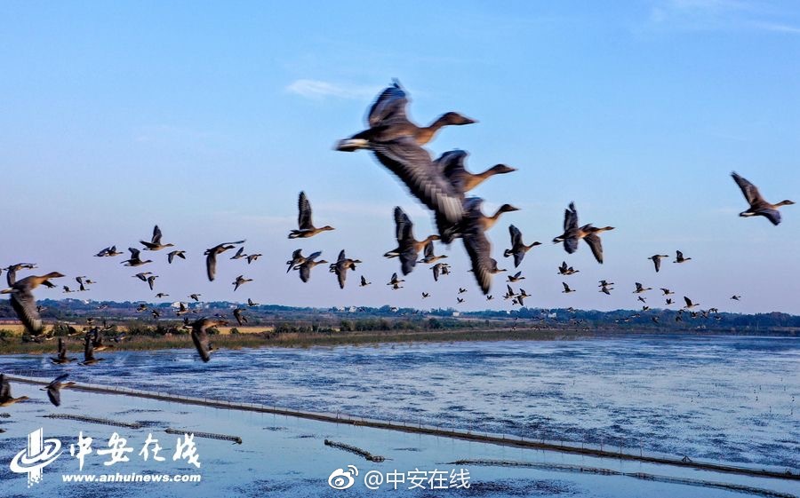 谈恋爱第一印象很重要？ 先入为主或让你错失良缘