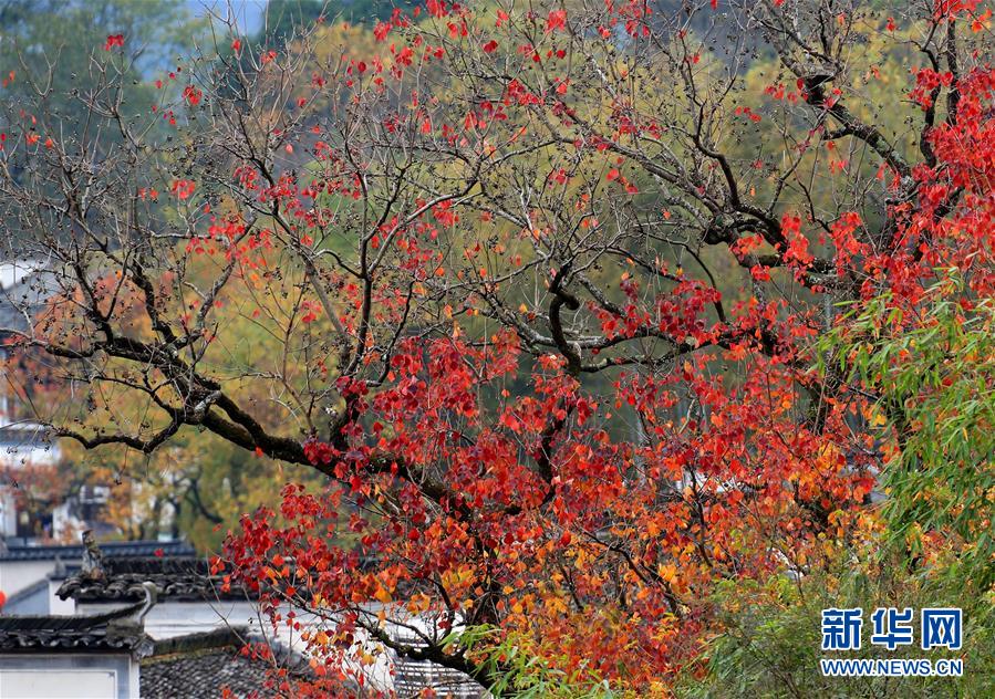 万科业主信息遭泄露事件：开发商被约谈 立案调查39户