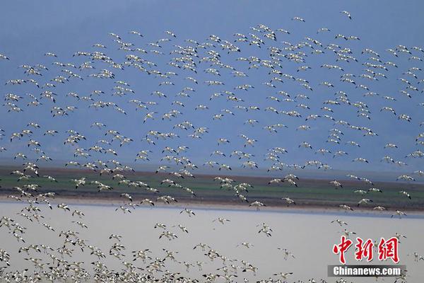 海军航空兵最强轰6K 攻击范围覆盖美军基地_CN2服务器不绕路