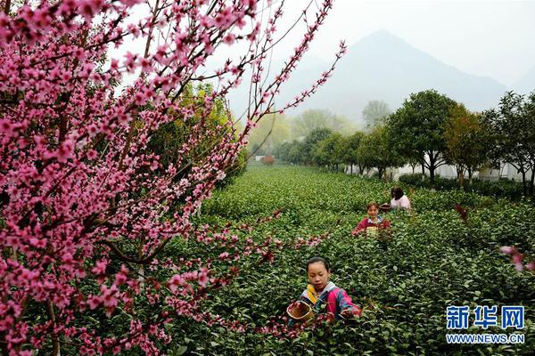 人大年度立法计划发布在即 房地产税法今年能上会审议吗