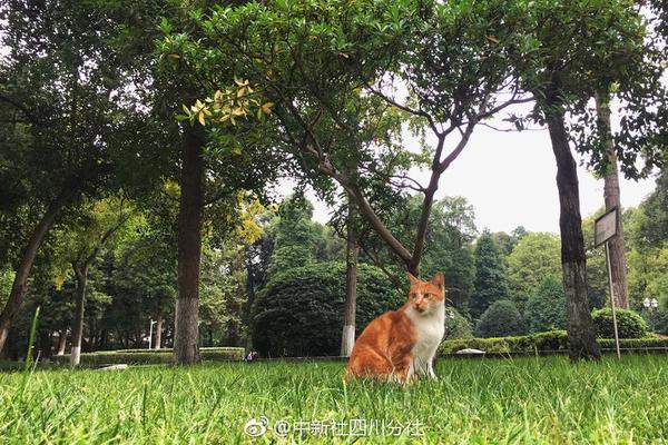 一季度房企销售回暖 高投资能否持续?_WordPress云服务器