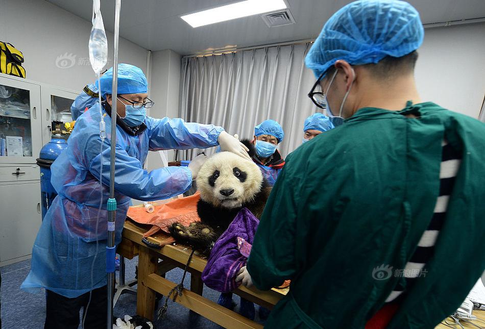 环球社评:华为无路可退只能把孟晚舟案官司打下去_挂机宝怎么用
