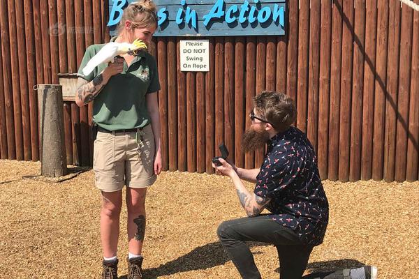 卡纳瓦罗放弃国足主帅职位_9929欧洲VPS