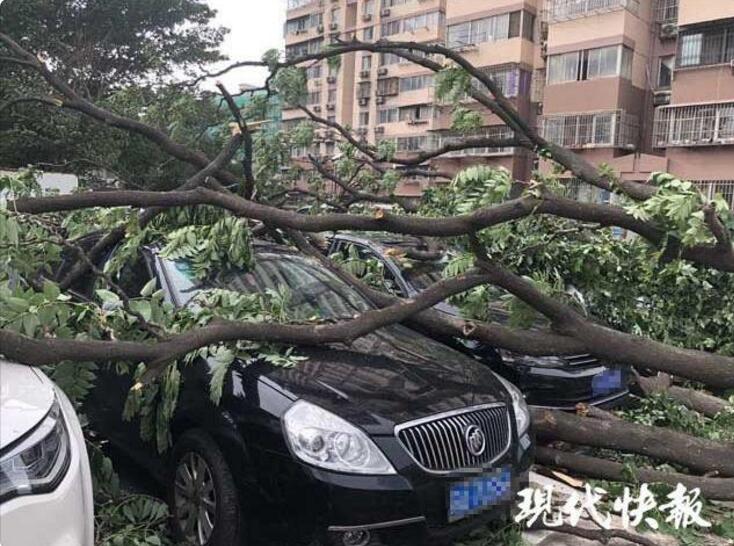 被慈禧赐死的“四觉老人”陈宝箴