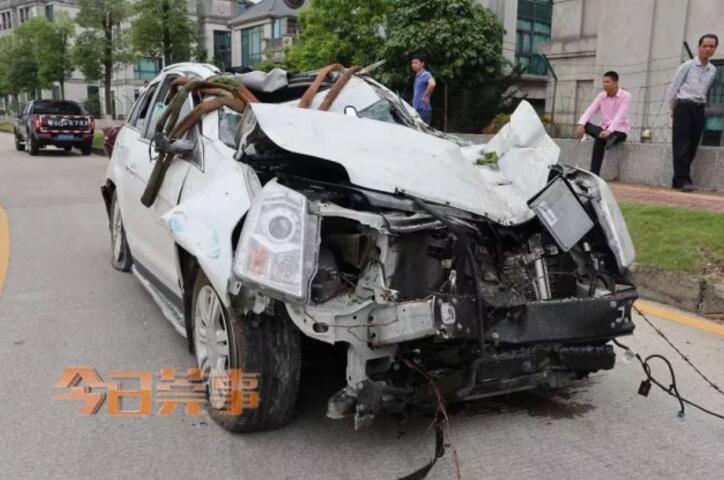 章子怡带女儿去农场 醒宝生吃胡萝卜表情一言难尽_CN2服务器多少ping