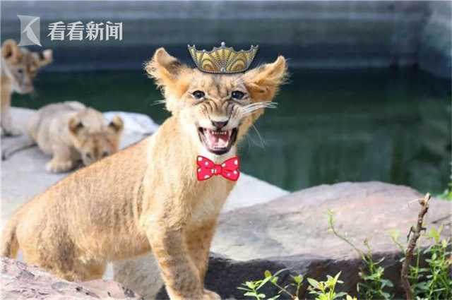 爱拍周选:让你看到最新鲜照片