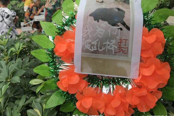 4.6秒破百的自主品牌纯电超跑 前途K50
