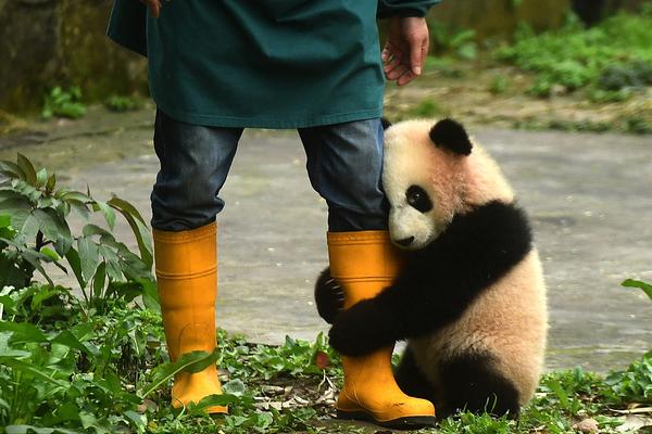 伦敦机场附近浓烟滚滚_大连云服务器