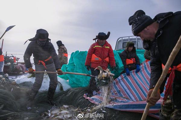 实拍：懒熊护崽与老虎对峙缠斗_CN2远程开发