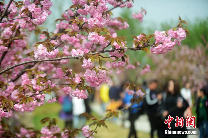 5月新机前瞻:除了华为三星外 还有这些旗舰机可选