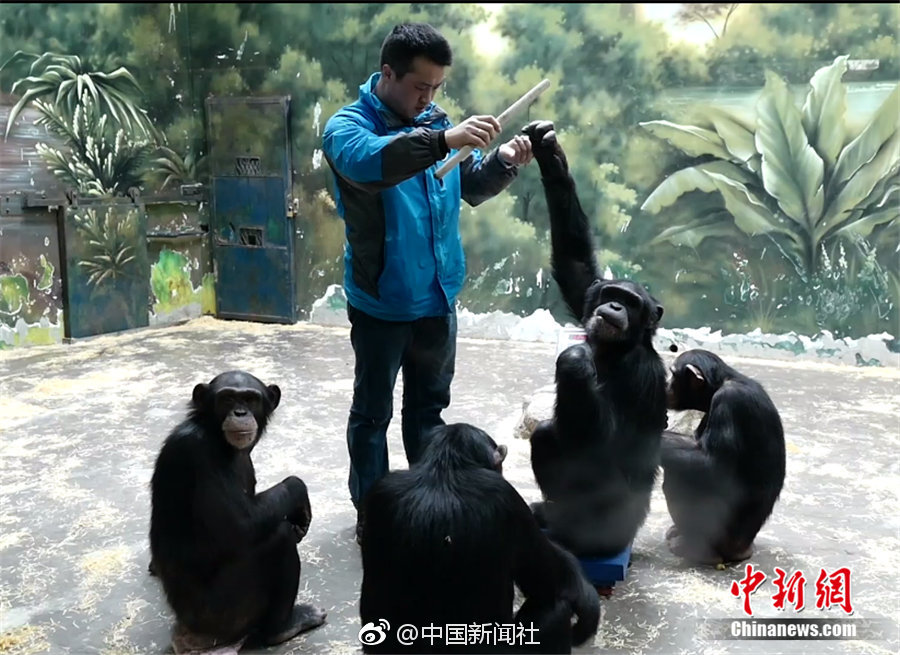 高僧圆瑛法师罕见旧照