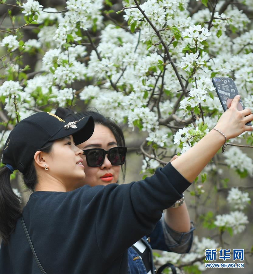 杨幂baby倪妮李念穿无袖连衣裙那么美！还不是因为她们没有拜拜肉_云服务器推荐