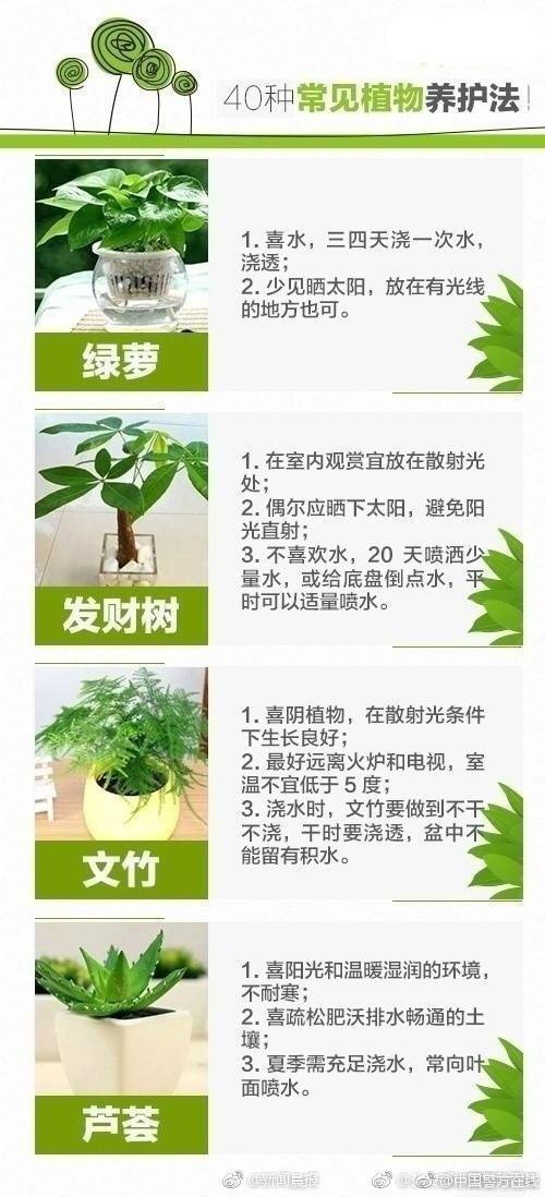 为啥都在夸这没到7分的英超片_CN2 dedicated server