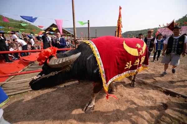 星座靠谱儿:12星座吃醋反应_网站服务器