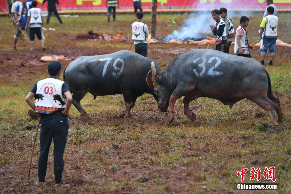 《体育》网易公布二季度未审计财务业绩_云服务器CentOS