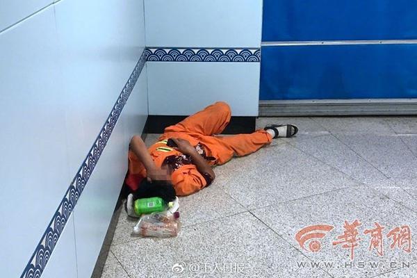 猫咪唇膏用成海豹唇膏
