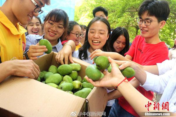 上海民校为何受“热捧”？_文件存储