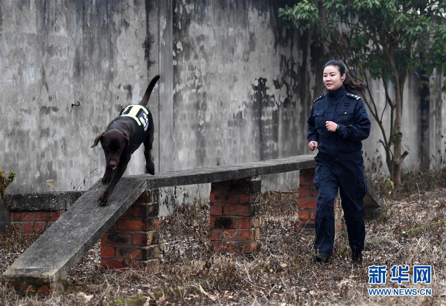切尔诺贝利核辐射33年后，“死城”危机仍未解除_云电脑托管