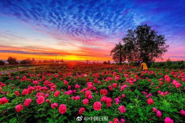 苹果售后管控能力与高售价不符_云服务器Ubuntu