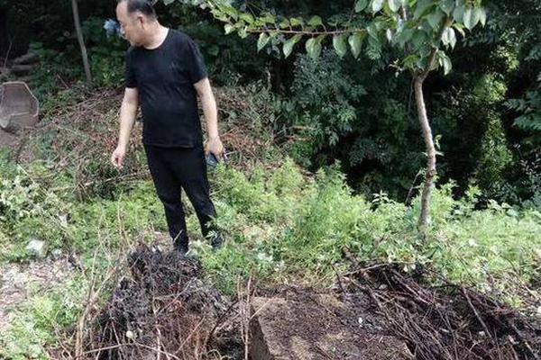 肯豆的腋下包才是轻巧出行的好搭档_云服务器出海补贴