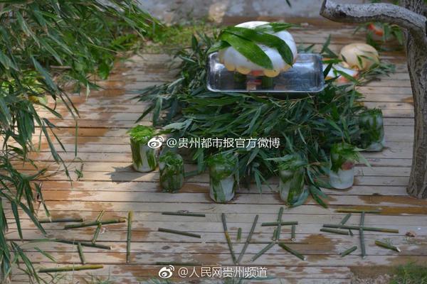 肯豆的腋下包才是轻巧出行的好搭档_云服务器出海补贴