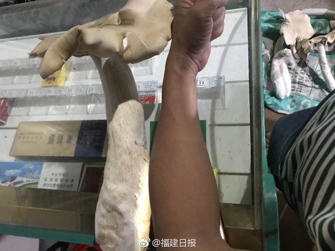 Rookie职业生涯仅与Faker交手五次！战绩为四胜一负_云电脑统一运维