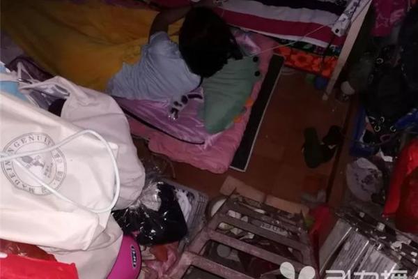 公安部通报打击春节档电影侵权盗版 吴京等出席_CN2服务器大带宽