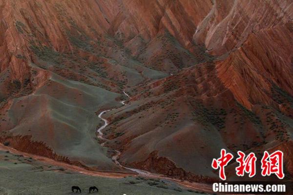 美女心理学家解读压力_挂机宝做网站