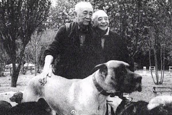 章子怡挺巨肚外出 遭吸二手烟_9929铂金处理器