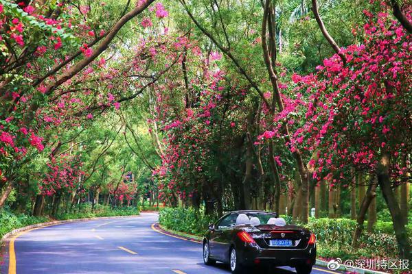 深度人物:杜兰特,做的一切都为证明他比詹皇更强_CN2服务器铂金处理器