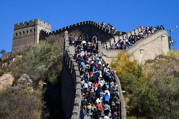 接受连续100天手机摄影挑战，赢认证称号_9929独享带宽