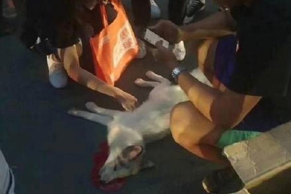 喷别人“洗歌”的酷玩实验室，你这篇文章洗稿了_挂机宝挂QQ
